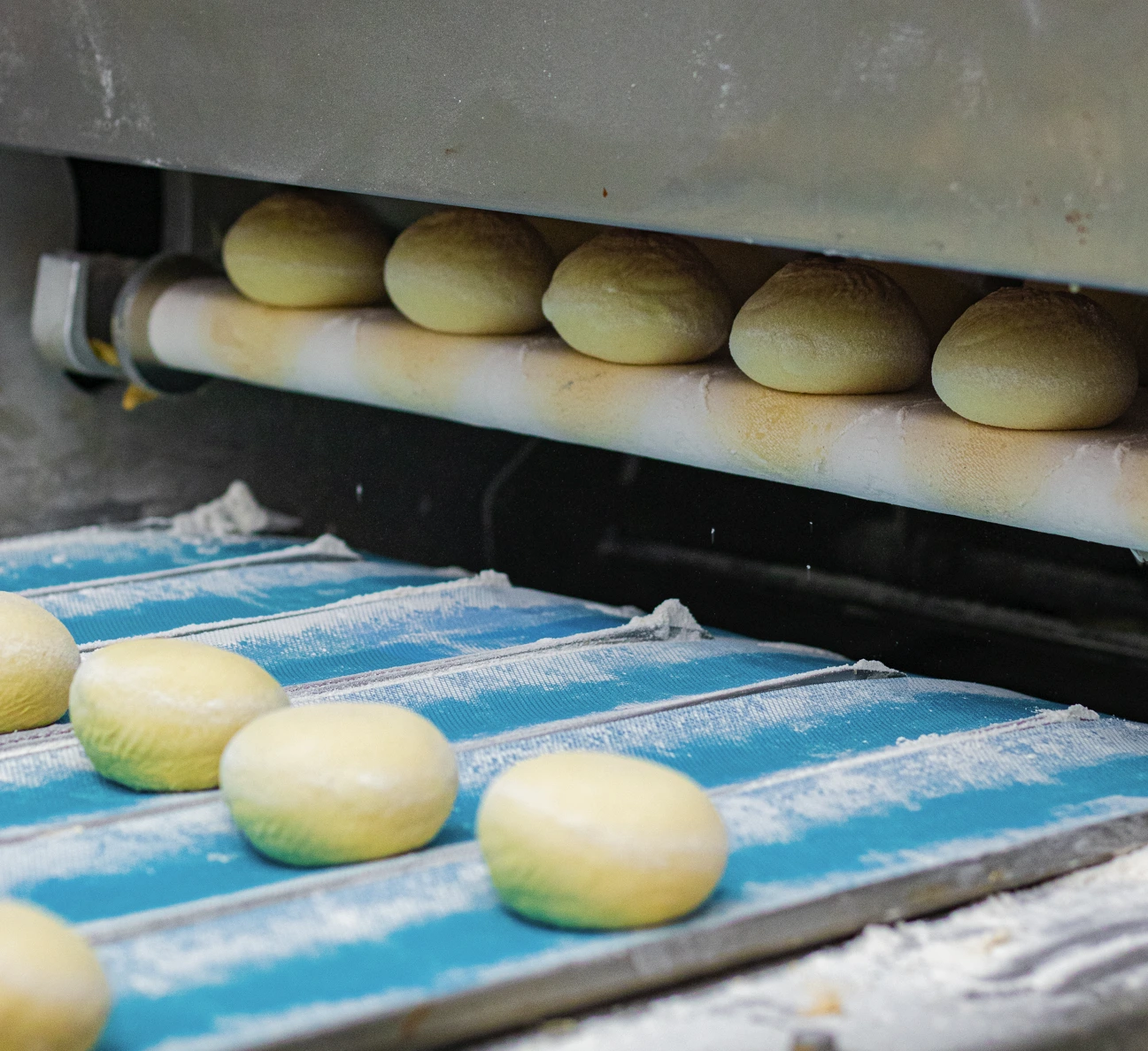 Capa do vídeo institucional Valepan